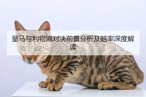 皇马与利物浦对决前景分析及赔率深度解读
